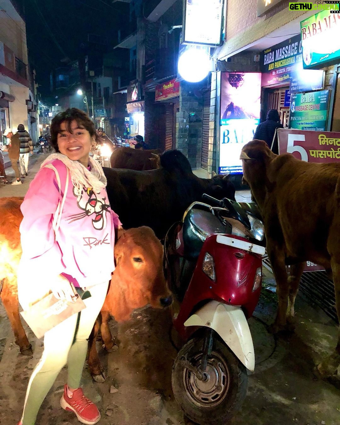 Nidhi Bhanushali Instagram - We like to moo it moo it. We like to Moo it.