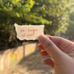 Nidhi Narwal Instagram - Ladkon ko tag kar kar ke bhar do comment section 🙌❤️ In frame : @nitesh_narwal (useless bhai kisi kaam toh aya) #lifeofnidhi #nidhinarwal #nidhinarwalpoetry #hindi #hindipoetry #love #poem #hindipoem #poemoftheday