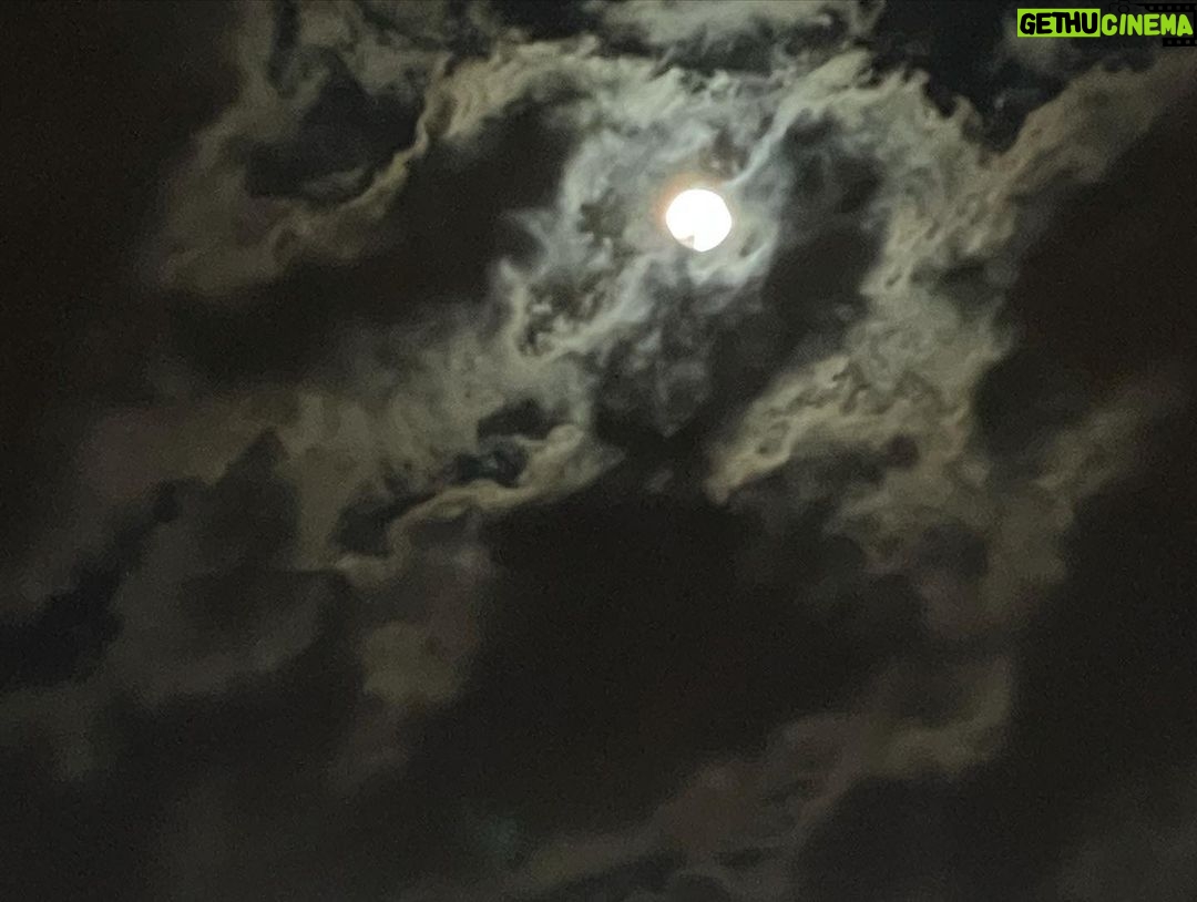 Nidhi Singh Instagram - Full of grey yet brighter than sunshine. I leave behind, a million pieces of mine. Thank you Serbia. 💜💫 . #ThankYouUniverse Belgrade, Serbia