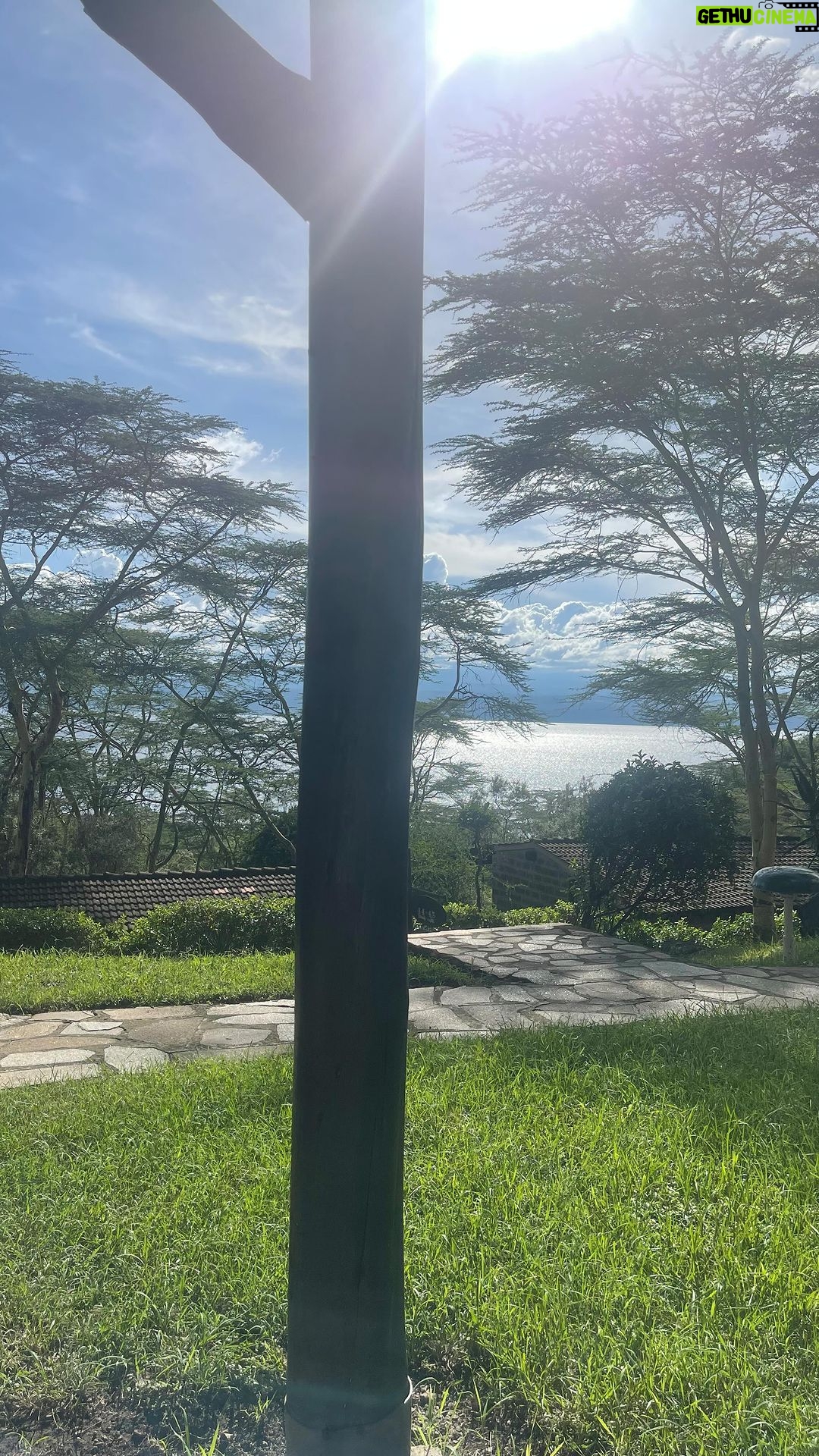 Nidhi Subbaiah Instagram - Arrived at Lake Nakuru and they welcomed me with a honeymoon cottage including a greeting card with flowers on the bed. Thanks guys, for rubbing it in that I’m single 😳 😆 This place though 😍 @jungle_arc 🤍🤍🤍 Lake Nakuru National Park