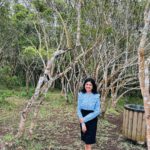 Niharika Dash Instagram - Seven Coloured Earths ,Charmel is a beautiful place on Earth that I’ve always wanted to visit. It was a long-pending item on my bucket list, and finally, I am here. Couldn’t be happier! ❤️ Seven Coloured Earths, Charamel, Mauritius