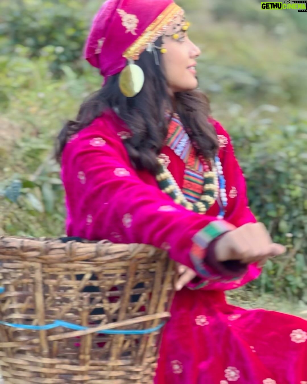 Nisha Guragain Instagram - Life is like a roller coaster, live it, be happy, enjoy life. ... Darjeeling, Queen of Hills