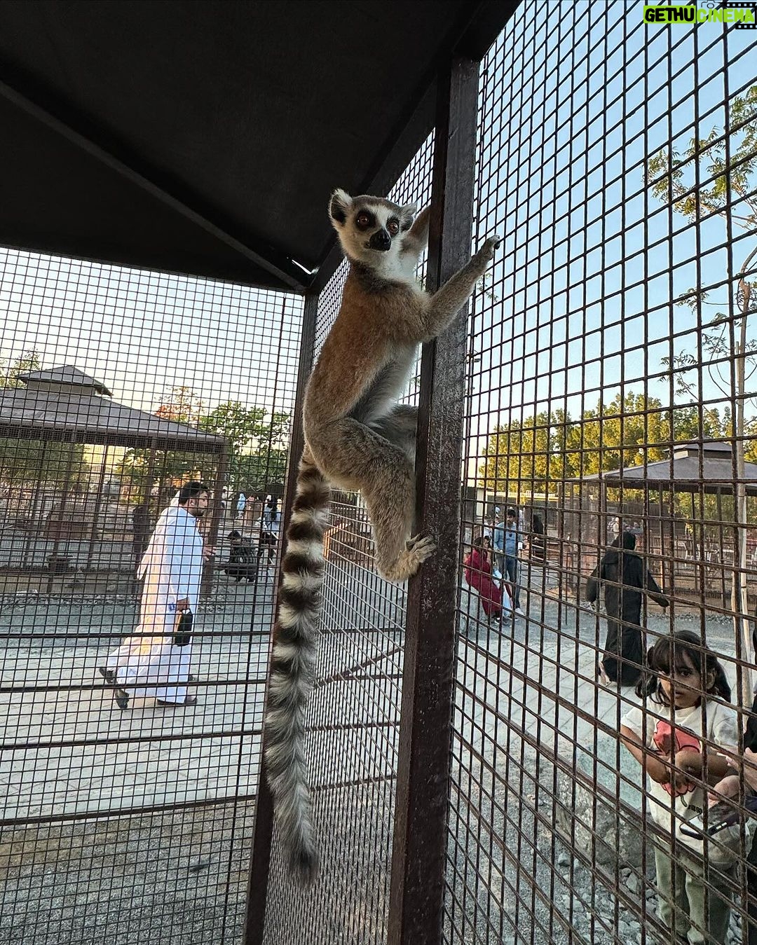 Nisha Guragain Instagram - When you live in the moment, you won't miss a thing…..😊 The Zoo Wild Life Park