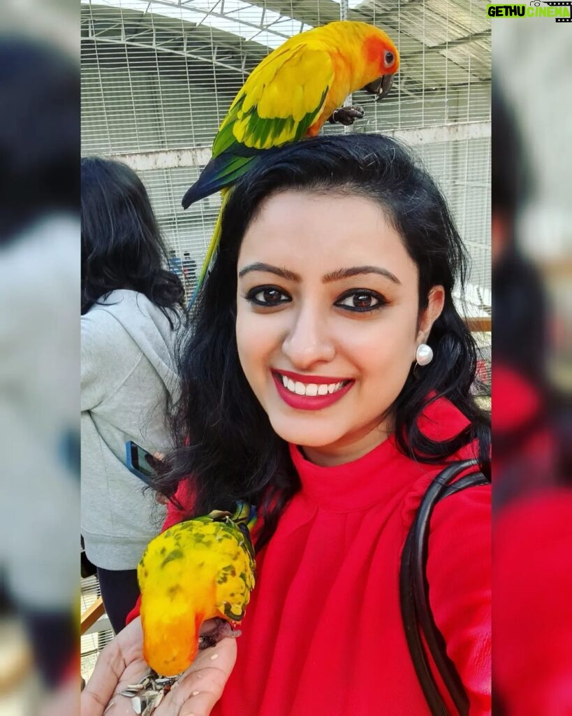 Nisha Krishnan Instagram - Love this crown 👑 #peekubirdpark #yerkadu