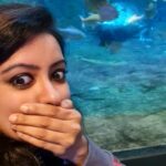 Nisha Krishnan Instagram - 🐊 King croc ! #dubaiaquarium #kingcroc #dubaimall #dubaiaquariumunderwaterzoo🐠🐟🐬🐳🐊🐋