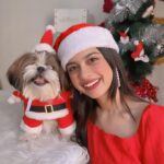 Nitanshi Goel Instagram - Ho! Ho! Ho! My lil cute Santa @queenienakhrewaali is on her way🤶♥️ Ask for a gift in the Comments 🎁✨ .. #MerryChristmas #christmaswishes #nitanshigoel #queenie #nitanshians Christmas at Home