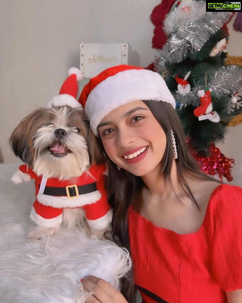Nitanshi Goel Instagram - Ho! Ho! Ho! My lil cute Santa @queenienakhrewaali is on her way🤶♥️ Ask for a gift in the Comments 🎁✨ .. #MerryChristmas #christmaswishes #nitanshigoel #queenie #nitanshians Christmas at Home