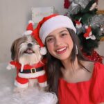 Nitanshi Goel Instagram - Ho! Ho! Ho! My lil cute Santa @queenienakhrewaali is on her way🤶♥️ Ask for a gift in the Comments 🎁✨ .. #MerryChristmas #christmaswishes #nitanshigoel #queenie #nitanshians Christmas at Home