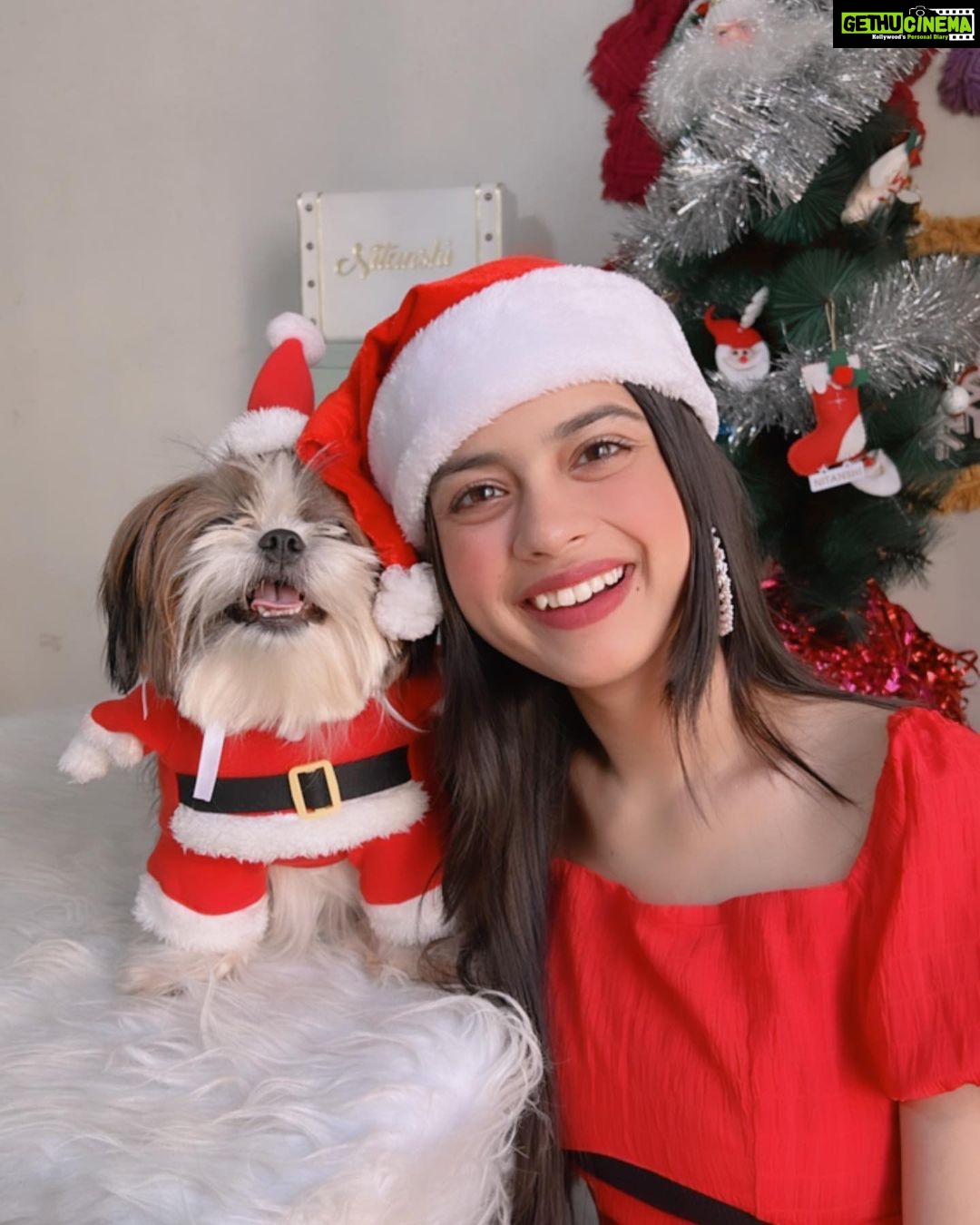 Nitanshi Goel Instagram - Ho! Ho! Ho! My lil cute Santa @queenienakhrewaali is on her way🤶♥️ Ask for a gift in the Comments 🎁✨ .. #MerryChristmas #christmaswishes #nitanshigoel #queenie #nitanshians Christmas at Home