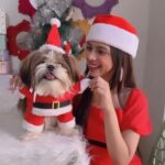 Nitanshi Goel Instagram - Ho! Ho! Ho! My lil cute Santa @queenienakhrewaali is on her way🤶♥️ Ask for a gift in the Comments 🎁✨ .. #MerryChristmas #christmaswishes #nitanshigoel #queenie #nitanshians Christmas at Home