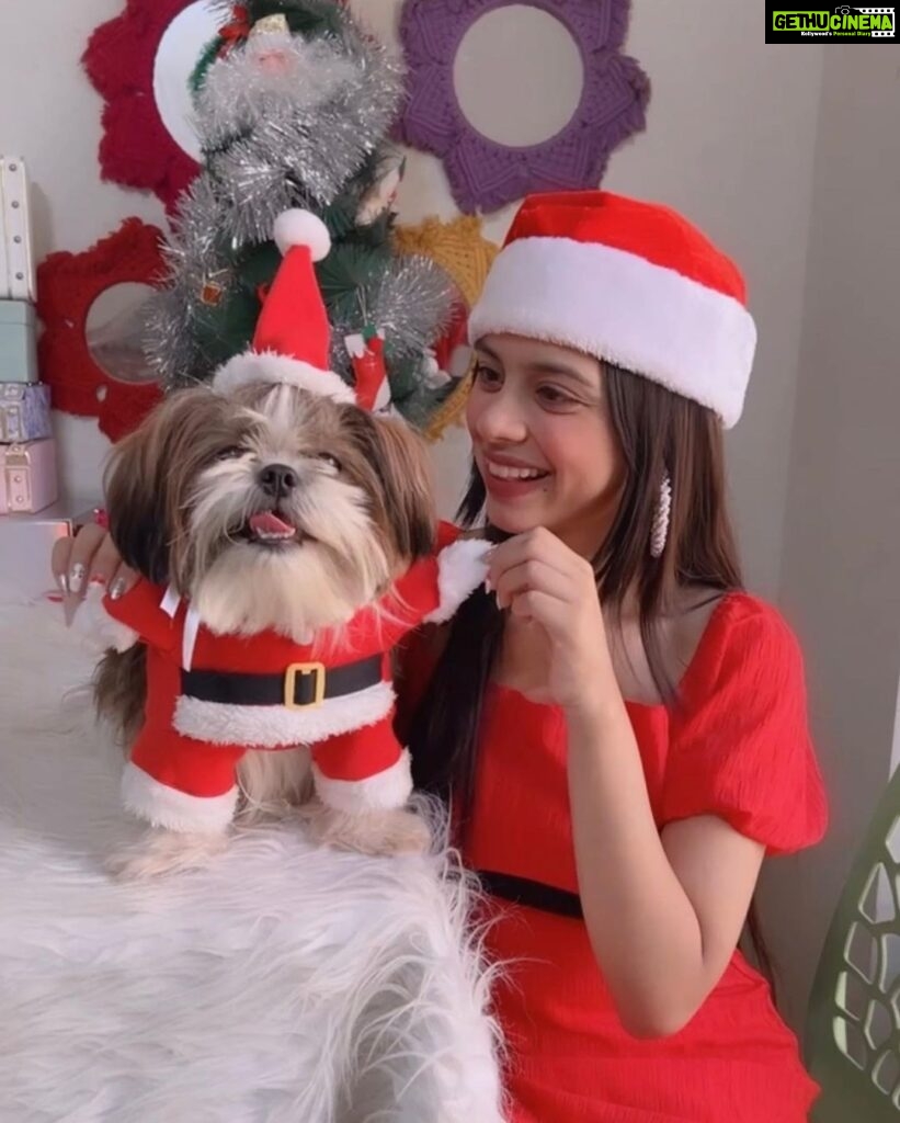 Nitanshi Goel Instagram - Ho! Ho! Ho! My lil cute Santa @queenienakhrewaali is on her way🤶♥️ Ask for a gift in the Comments 🎁✨ .. #MerryChristmas #christmaswishes #nitanshigoel #queenie #nitanshians Christmas at Home