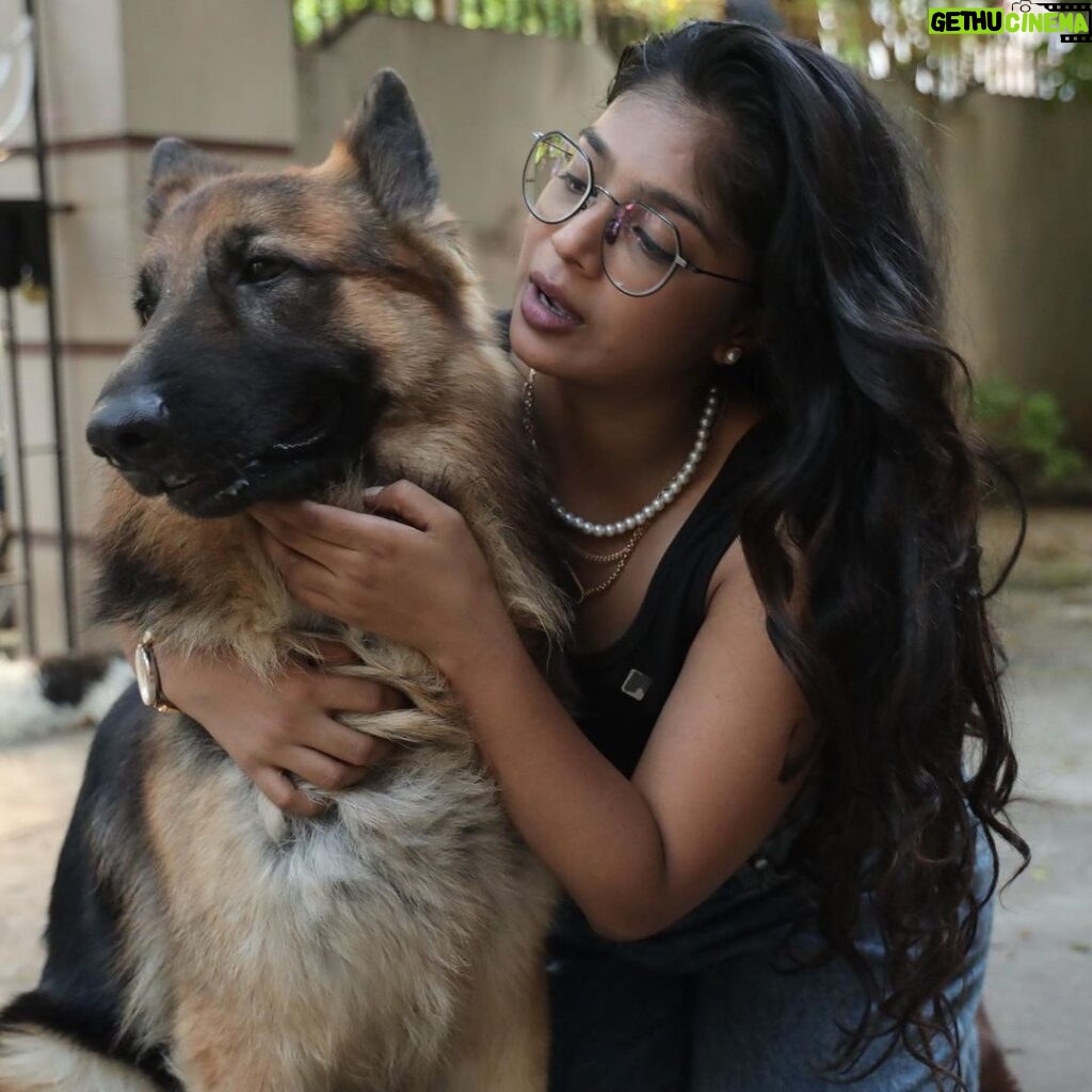 Parvathy Saran Instagram - R A W K Y ❤️ Tough & also soft ✨ . P.S : I still remember the day when my friend Sanjay ( who is the master of Rawky ) brought him home as a tiny little boy…now our Rawky is so muscular & large 🧿 Time flies when you are around pets and the most loyal #germanshepherd Chennai, India