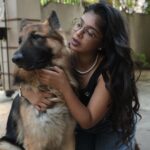 Parvathy Saran Instagram – R A W K Y ❤️ Tough & also soft ✨
.
P.S : I still remember the day when my friend Sanjay ( who is the master of Rawky )  brought him home as a tiny little boy…now our Rawky is so muscular & large 🧿 Time flies when you are around pets and the most loyal #germanshepherd Chennai, India