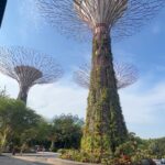 Parvathy Saran Instagram - Happy Singapore National Day 🇸🇬 Walked sooo much in this city, sun was bit harsh & couldn’t manage without an umbrella or sunscreen, sign boards were very less which was confusing to find places.. On the other side, I loved their sudden rain, advanced infrastructure, loved the no honking while driving, got really excited about all the branded products shopping, spotted so many Ferrari, Rolls-Royce and Lamborghini on their clean broad roads, happy with their minimal traffic. Got really motivated by their hardworking senior citizens and also observed discipline & silence in public places..Singapore earned High respects ✌️ What was your experience in SG 🇸🇬 !? let me know in the comments. Thank You @gtholidays.in for everything #VibeWithPaaru #VJParvathy #VJPaaru #travel #solotravel #singapore #singaporelife