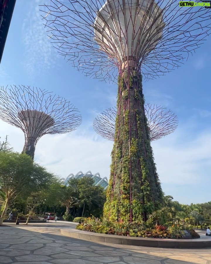 Parvathy Saran Instagram - Happy Singapore National Day 🇸🇬 Walked sooo much in this city, sun was bit harsh & couldn’t manage without an umbrella or sunscreen, sign boards were very less which was confusing to find places.. On the other side, I loved their sudden rain, advanced infrastructure, loved the no honking while driving, got really excited about all the branded products shopping, spotted so many Ferrari, Rolls-Royce and Lamborghini on their clean broad roads, happy with their minimal traffic. Got really motivated by their hardworking senior citizens and also observed discipline & silence in public places..Singapore earned High respects ✌️ What was your experience in SG 🇸🇬 !? let me know in the comments. Thank You @gtholidays.in for everything #VibeWithPaaru #VJParvathy #VJPaaru #travel #solotravel #singapore #singaporelife