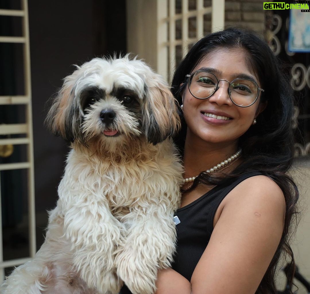 Parvathy Saran Instagram - Cute, Happy & Furry my Boy @trippy_thatshihtzu 🧿❤️🐶 Chennai, India