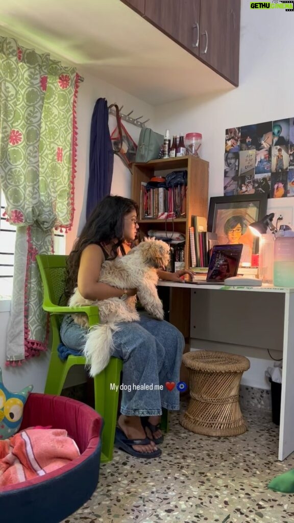 Parvathy Saran Instagram - My dog healed me ❤️🧿 @trippy_thatshihtzu Tag all those pet parents !!! Chennai, India