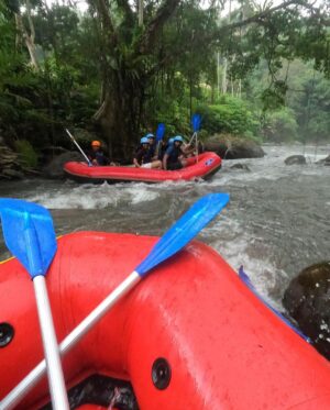 Parvathy Saran Instagram - best wild diwali ever 🧿 Bali Rafting in Ayung River 🍃 finally celebrated this day with no crackers but with full of nature…far far away from my homeland !!! Feels so good & alive.

Thank You @gtholidays.in for an unforgettable Trip to the Beautiful Bali ❤️