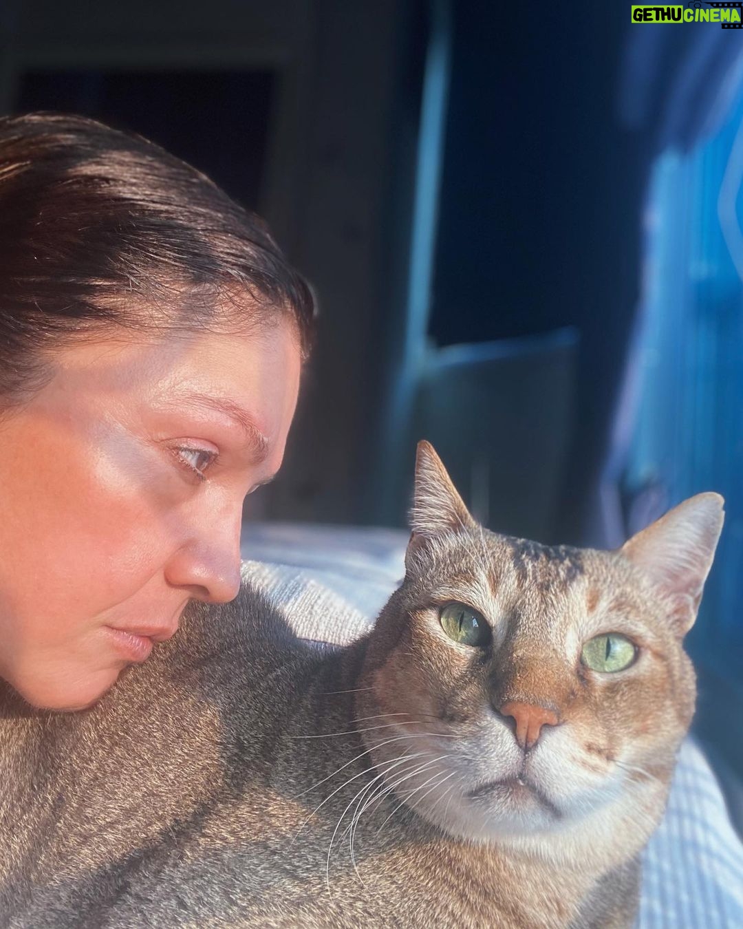 Pooja Bhatt Instagram - I sometimes longed for someone who, like me, had not adjusted perfectly with his age, and such a person was hard to find; but I soon discovered cats, in which I could imagine a condition like mine, and books, where I found it quite often. Julio Cortázar