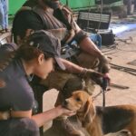 Pooja Ramachandran Instagram – With the cute and adorable ‘Hector’ one of our lead actors. 

Watch THE VILLAGE streaming now only on @primevideoin 

#thevillageonprime #thevillageonprimevideo #webseries #bingewatch