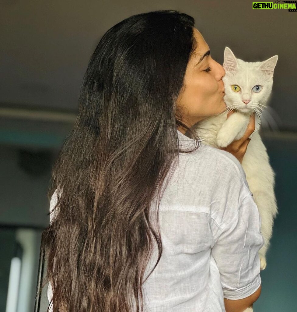Pooja Sawant Instagram - Happy birthday universe ♥️ angel of my life ♾️🧿 Thank you for saving me .. thank you for bringing blessings into my life with your little paws ♥️🧿🧿🧿