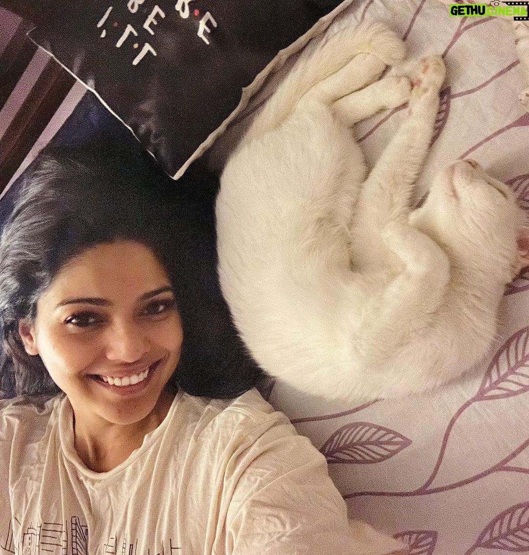 Pooja Sawant Instagram - Happy birthday universe ♥️ angel of my life ♾️🧿 Thank you for saving me .. thank you for bringing blessings into my life with your little paws ♥️🧿🧿🧿