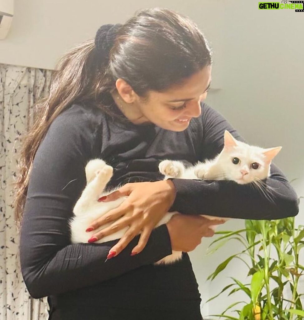 Pooja Sawant Instagram - Happy birthday universe ♥️ angel of my life ♾️🧿 Thank you for saving me .. thank you for bringing blessings into my life with your little paws ♥️🧿🧿🧿