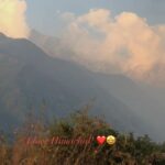 Poonam Rajput Instagram – Good morning! I am finally in. Himachal my hometown my love. I am here for my mental peace. ❤️😍😘🤩🥰🎶🤗 
#feelkroreelkro #himachal #palampur #dharamshala #mylove #mylife #myhometown 🎶🤗😍❤️