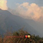 Poonam Rajput Instagram - Good morning! I am finally in. Himachal my hometown my love. I am here for my mental peace. ❤️😍😘🤩🥰🎶🤗 #feelkroreelkro #himachal #palampur #dharamshala #mylove #mylife #myhometown 🎶🤗😍❤️