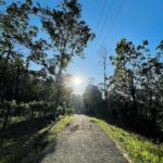 Poornima Bhagyaraj Instagram - Fresh and energetic early morning walk in the beautiful landscapes of kerala❤️❤️❤️ along with health benefits @suhasinihasan