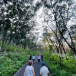 Poornima Bhagyaraj Instagram - Fresh and energetic early morning walk in the beautiful landscapes of kerala❤️❤️❤️ along with health benefits @suhasinihasan