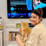 Prachi Deasi Instagram - My weekend binge watch plan is sorted #Dhootha on @primevideoin 🎪🎈🤍🐾 @thisisvikramkumar We are all yours now, have you watched it yet?