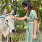 Pranika Dhakshu Instagram – Nothing compares to the ride on a bullock cart ✨ 
  Bullock cart + Thalaivar song = heaven

Had so much fun thanks @ibex.resorts ❤️

#vacationmode #bullockcartride #fun_panrom #loved #pranikadhakshu Coimbatore, Tamil Nadu