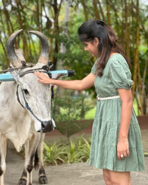 Pranika Dhakshu Instagram - Nothing compares to the ride on a bullock cart ✨ 
  Bullock cart + Thalaivar song = heaven

Had so much fun thanks @ibex.resorts ❤️

#vacationmode #bullockcartride #fun_panrom #loved #pranikadhakshu