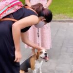 Pranika Dhakshu Instagram – BRUNO…!!! 🐶🍃

#pranikadhakshu #zara #doglove #doglover
