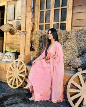 Pranjal Dahiya Instagram - I am the great illusion of myself 💕