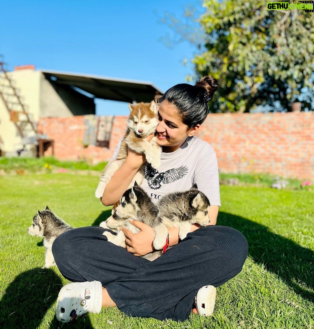 Pranjal Dahiya - 288.7K Likes - Nothing is better then this 🐾🐶
.
.
#pranjaldahiya #gulabiqueen