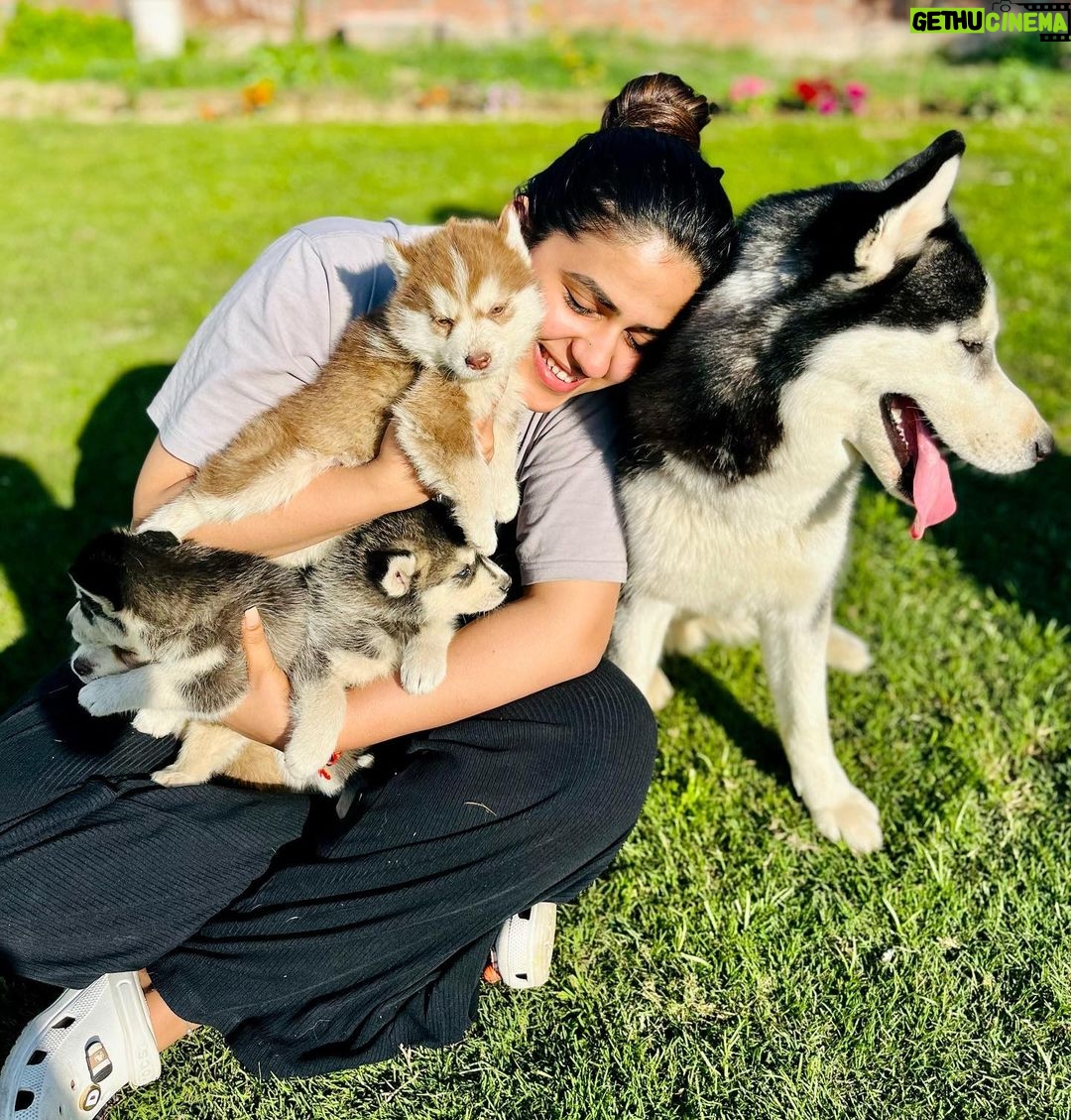 Pranjal Dahiya - 288.7K Likes - Nothing is better then this 🐾🐶
.
.
#pranjaldahiya #gulabiqueen
