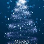 Preeti Jhangiani Instagram - Wishing everyone a Merry Xmas 🎄 India