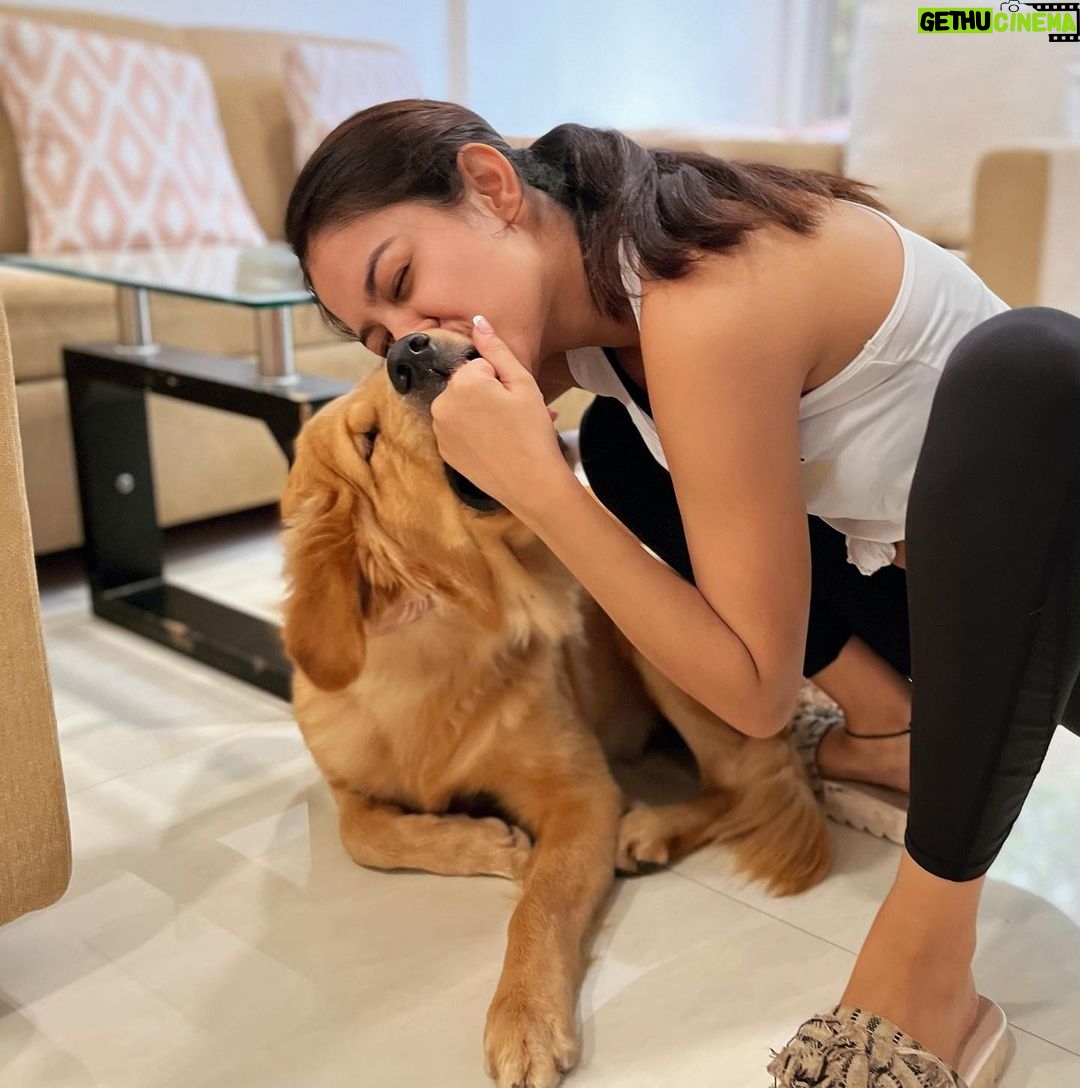 Priyal Mahajan Instagram - Hey Darlings You mad you I loves you🥰🥰 #simba💗 #staypawsitive