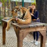 Priyamvada Kant Instagram – No sentiments were harmed while filming this video 🐯
