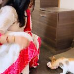 Priyanka Panigrahi Instagram - priyankareelsvdo||actresspriyanka||odiaheroin||#shorts#instagram#facebook#reels#odiasong#reelsvideo