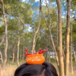 Priyanka Panigrahi Instagram -