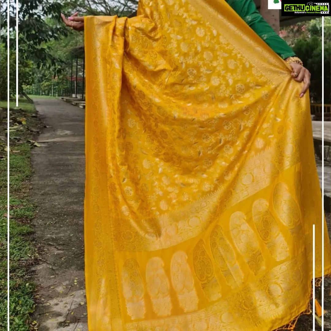 Rachna Banerjee Instagram - The adorable tanchoi benarasi sarees are gorgeous and traditional and made purely of silk. For every Puja or occasion, this is the best fit with the thread borders and the jacquard weaves π’History : The Tanchoi brothers from Gujarat introduced the art to the Indian weavers in Surat (Gujarat), and later the Varanasi weavers also started weaving these Sarees, in less expensive versions. ππ»Care: Dry wash π²ππ‘πππ¬ππ©π© π¨π§ ππππππππππ ππ¨ π¨π«πππ« #RachnaBanerjee #Fashion #Saree #IndianAttire #EthnicWear #Traditional #Fashionista #Style #StayStylish #StayFashionable #StyleStatement #OrderNow #OnlineShopping #fashion #potd #ootd #ootdfashion #likeforlikes #facebookpost #instagram #tanchoi #silk #benarasi