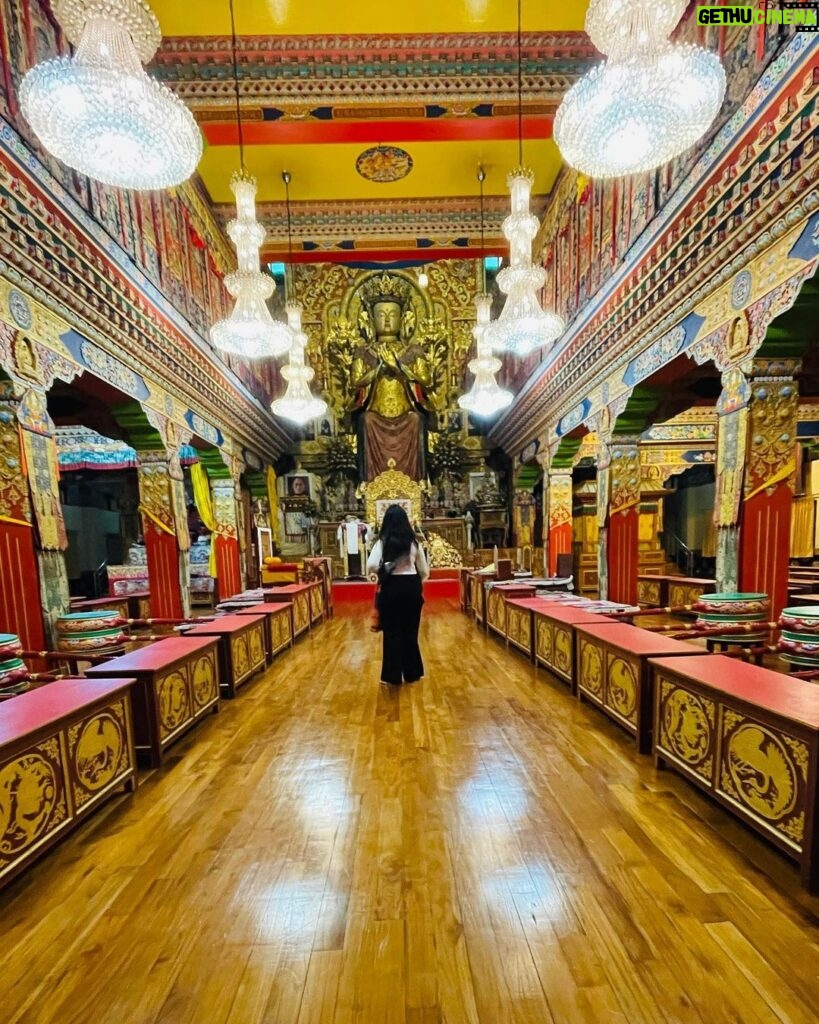 Rashmi Agdekar Instagram - 10 frames of Bir 🌸 What a mesmerising trip this was 😍 #bir #himachal #incredibleindia #travelwithme #explorepage #buttonnosetravels Bir Billing, Himachal Pradesh, India