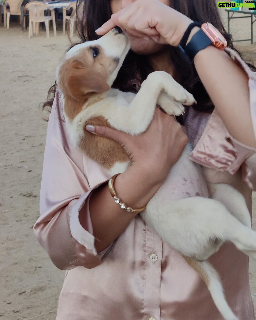 Rashmi Agdekar Instagram - le puppy: put me down you fanatical lady , at once pls From the set for Crackdown S2 🐶 #throwback Jaiselmer Rajasthan
