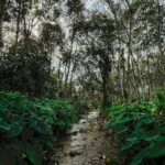 Reshma Muralidharan Instagram - #Reshuclicks2022 Ponkunam, India