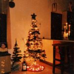 Reshma Muralidharan Instagram - 🎄❄️ .... Decorated by rambuttan and mommy @sumapj000 ❤️