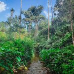 Reshma Muralidharan Instagram - #reshuclicks2022 Ponkunam, India