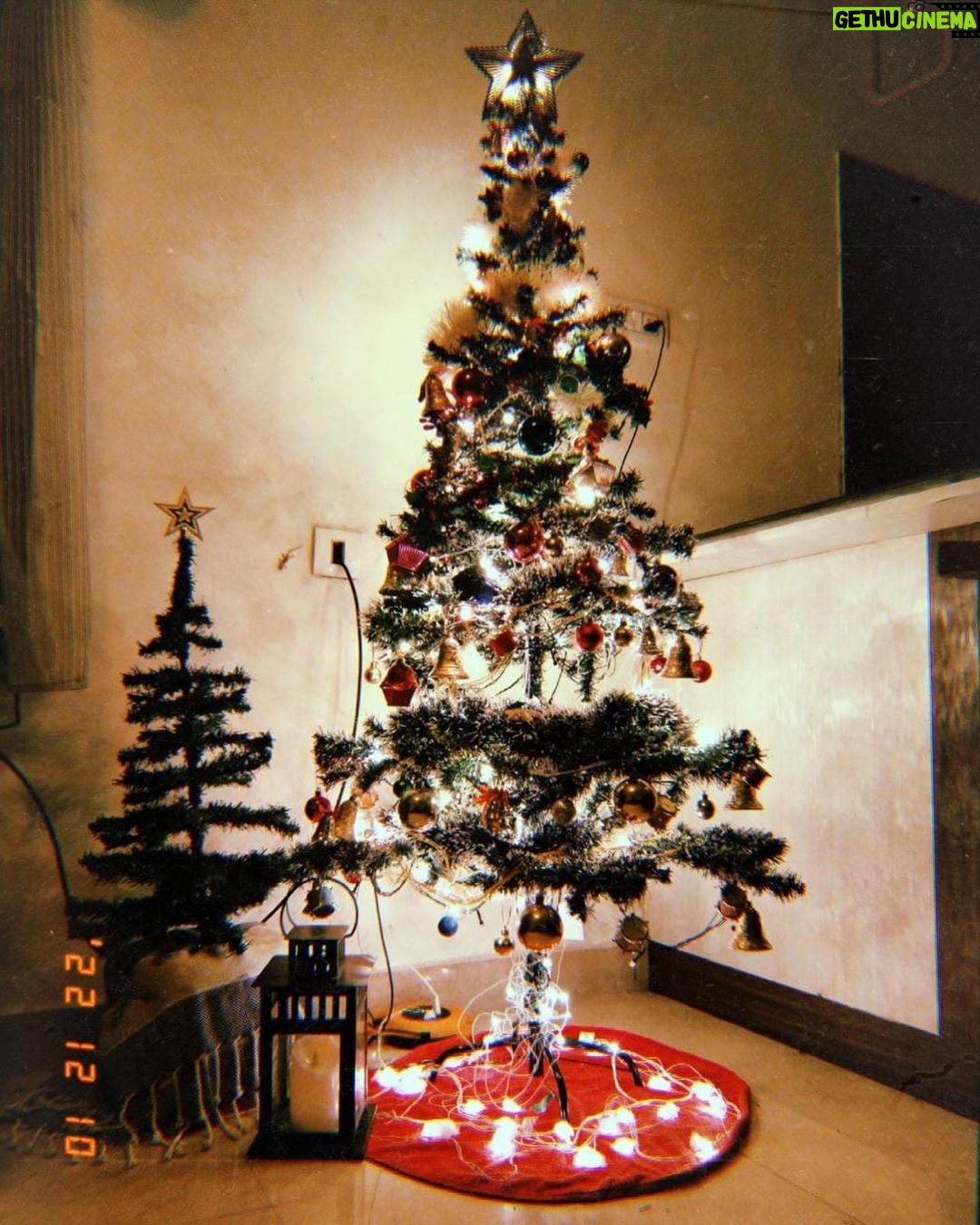 Reshma Muralidharan Instagram - 🎄❄️ .... Decorated by rambuttan and mommy @sumapj000 ❤️